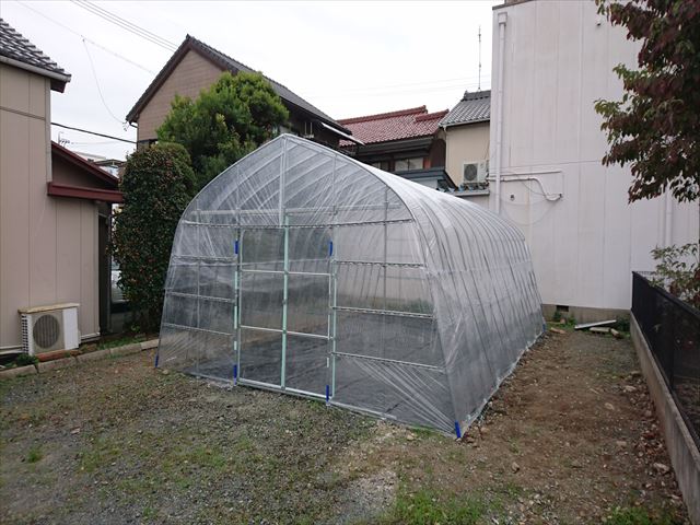 ビニールハウス設営