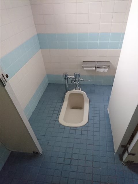和式トイレから洋式トイレ